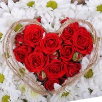  Bouquet Camomile Heart Belgorod_dnestrovskiy
                            