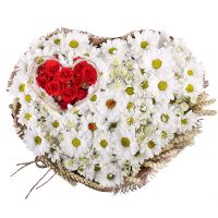  Bouquet Camomile Heart Belgorod_dnestrovskiy
                            