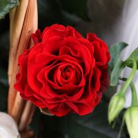 Flower Basket with Teddy Bear Drogobich