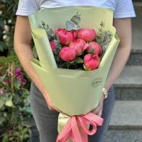 7 coral peonies Stanichno_luganskoe