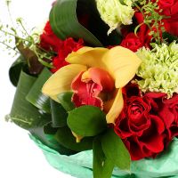  Bouquet Morning surprise Lviv
                            