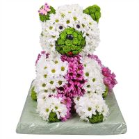  Bouquet Flower Kitty Pavlograd
                            