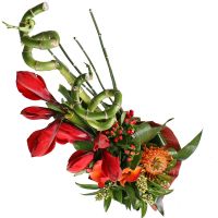 For real man Nikopol (Ukraine)