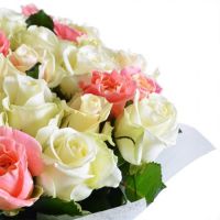 Тысяча нежных поцелуев  Клиффсайд Парк