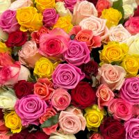 101 multi-colored rose Amritsar