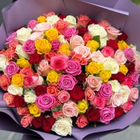 101 multi-colored rose Amritsar