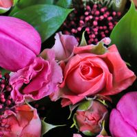 Bouquet of flowers Lyra Batumi
                            