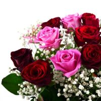 Bouquet of flowers Swallow Pavlograd
                            