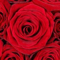 Bouquet in a box 35 roses Laspi
