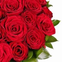Bouquet in a box 35 roses Laspi