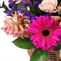  Bouquet Forest music Brovari
                            