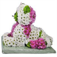  Bouquet Flower cat Odessa
                            