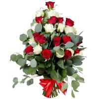Bouquet 25 roses Red and white cloud Mingachevir