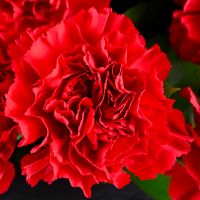 Траурный букет гвоздик Сновск (до 2016 Щорс)