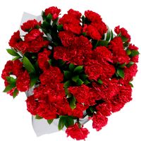 Траурный букет гвоздик Сновск (до 2016 Щорс)