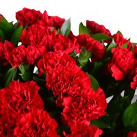 Траурный букет гвоздик Сновск (до 2016 Щорс)