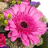  Bouquet Bright sketch Nikolaev
                            