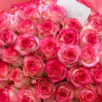 51 roses Jumilia Melbourne (Australia)