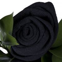 Rose for men  Zhitomir