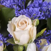  Bouquet Magic lazurite Offenbach
                            