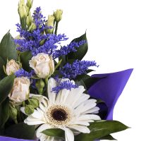  Bouquet Magic lazurite Offenbach
                            