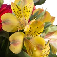  Bouquet Sunset colors Skanderborg
                            