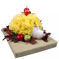  Bouquet Flower hedgehog Berdichev
                            