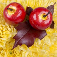  Bouquet Flower hedgehog Berdichev
                            