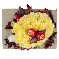  Bouquet Flower hedgehog Berdichev
                            