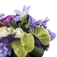 Букет цветов Касабланка Пурмеренд
                            