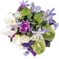 Букет цветов Касабланка Пурмеренд
                            