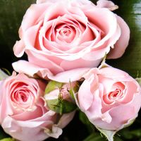 Bouquet of flowers Lilibeth Brovari
                            