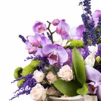  Bouquet Colorful breeze Vinnitsa
                                