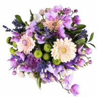 Bouquet Colorful breeze Vinnitsa
                                