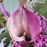  Bouquet Purple love Ariel
                                