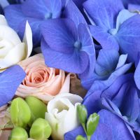 Bouquet of flowers Mnemosyne Costesti
                            