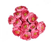 Artificial ranunculus pink Ternopol