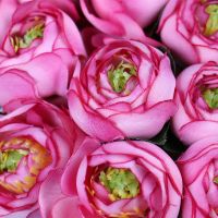 Artificial ranunculus pink Ternopol