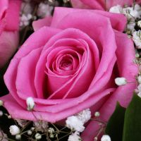  Bouquet Warm Embrace Sumy
                                