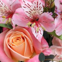 Flower box Boom Uzin