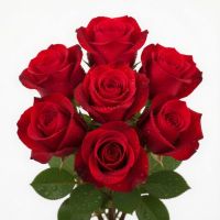 Red roses by the piece Haringey