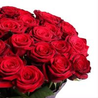 51 red roses Opfingen