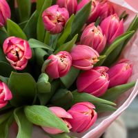 Pion-shaped tulip by the piece Ri