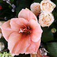  Bouquet Sunny morning Chernigov
                            