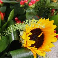 Mood of summer Kremenchug