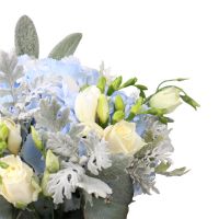 Gentle than tender Podvolochisk