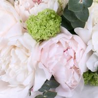 The Peony Waltz Mukachevo