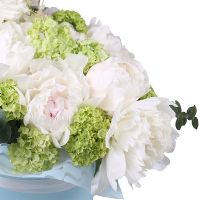 The Peony Waltz Mukachevo