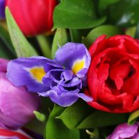  Bouquet Bright spring Uzhgorod
                            