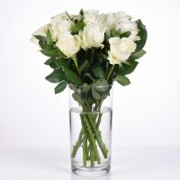 11 white roses Fort McMurray